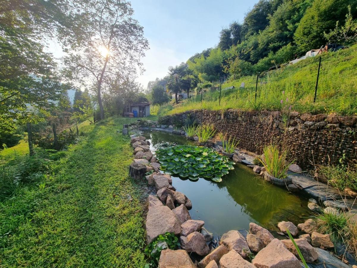 La Nave B&B Monteggio Zewnętrze zdjęcie