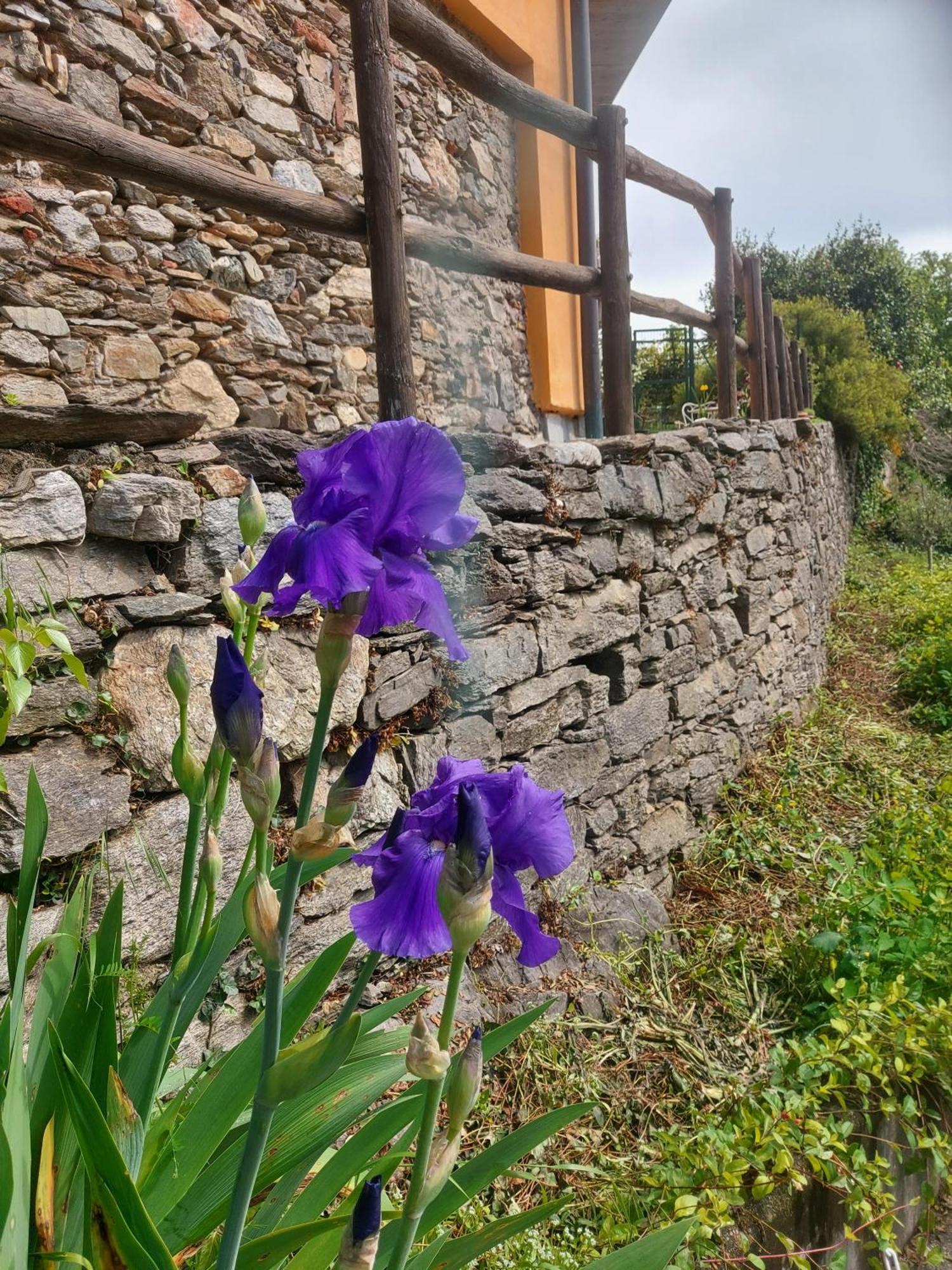 La Nave B&B Monteggio Zewnętrze zdjęcie